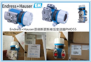 差壓變送器PMD55 Endress+Hauser恩德斯豪斯